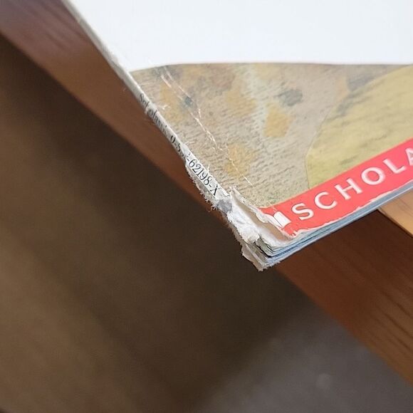 7 books by Leo Lionni - Picture 15 of 16